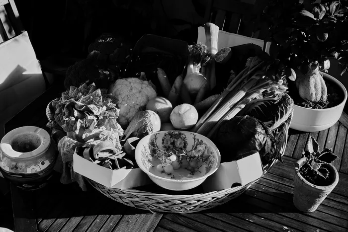 Improving Consistency With Balcony Vegetable Gardening